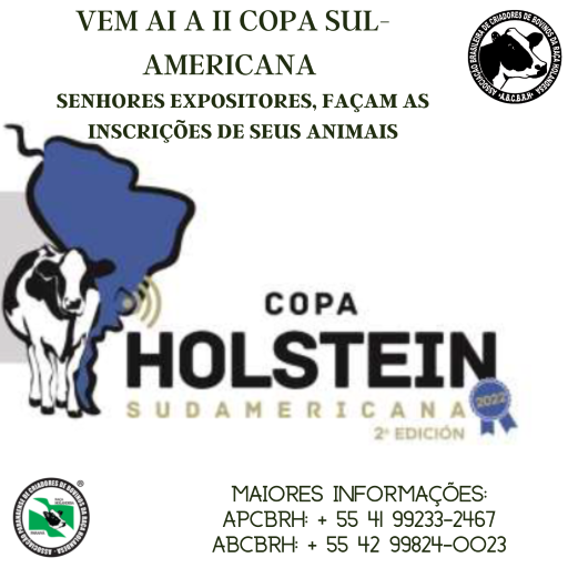 Participe da 2ª Copa Sul-Americana de Holandês